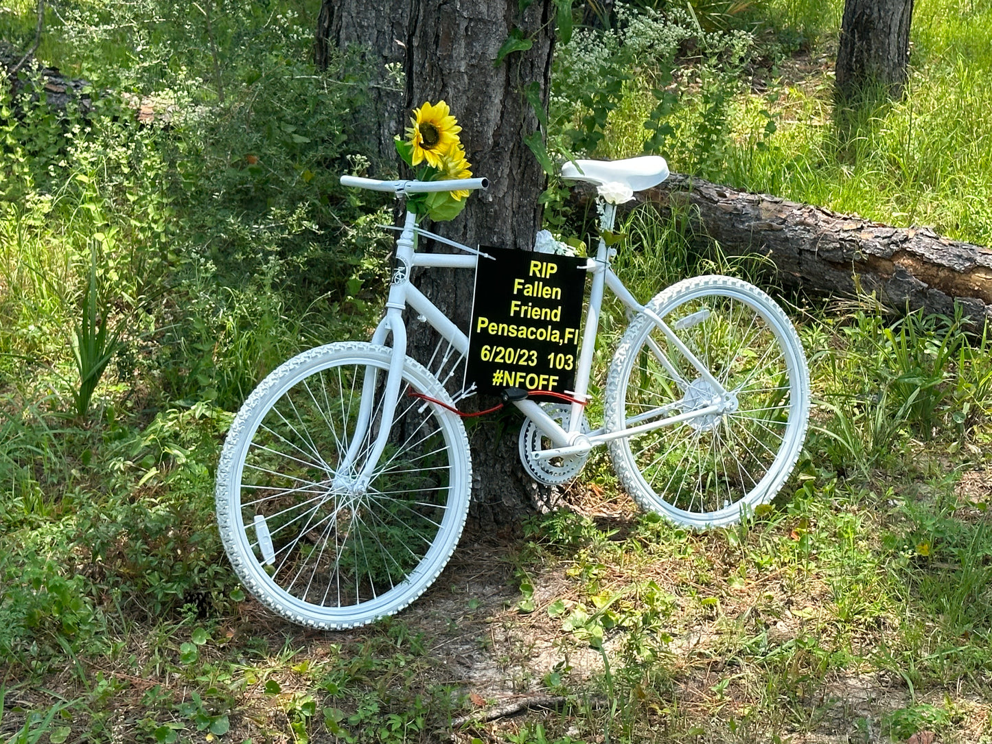 GHOST BIKE Name Board